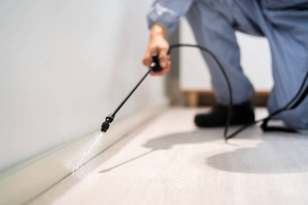 Licensed Pest Control service in Vandenberg AFB, CA - Show Me Pest Control