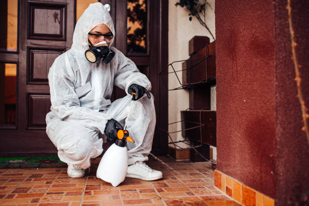 Multi-Unit and Airbnb Bed Bug Protocol in Vandenberg AFB