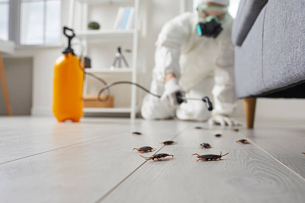 Post-Treatment Bed Bug Interceptor Monitoring in Vandenberg AFB