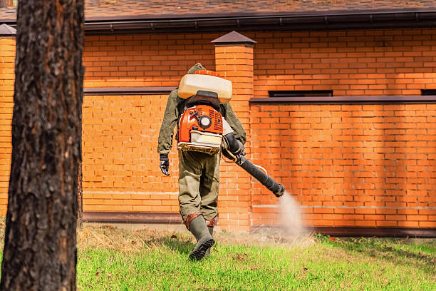 Bed Bug Clearance Verification and Documentation in Vandenberg AFB